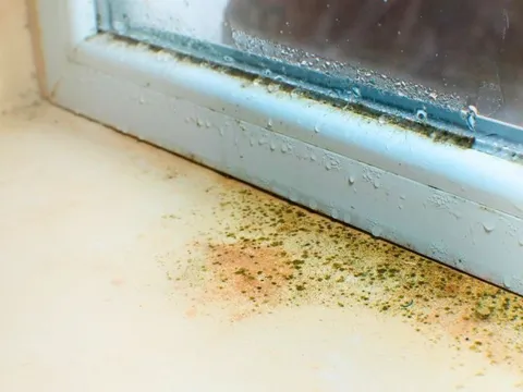 Cửa sổ mùa đông sạch bong kin kít khi được lau cùng giấm và thứ này