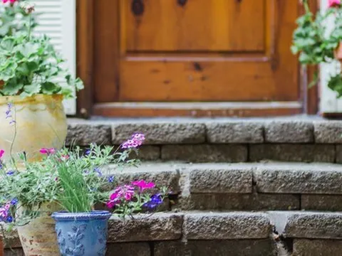 10 loại cây trồng trước nhà cực hợp: Hàng xóm nhìn thấy sẽ phải gọi điện ngay cho bạn