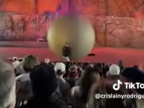 Nhân viên Disney World bị tai nạn trong buổi diễn Indiana Jones