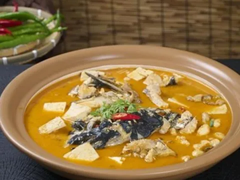 WHO cảnh báo hãy NGỪNG NGAY việc ăn nhiều 4 loại cá này