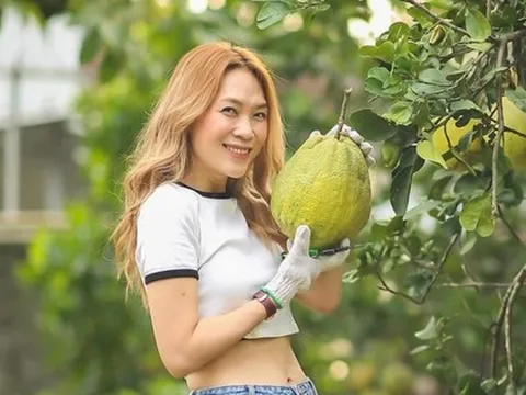 Thành quả không ngờ bên trong nhà vườn của Mỹ Tâm sau 4 năm
